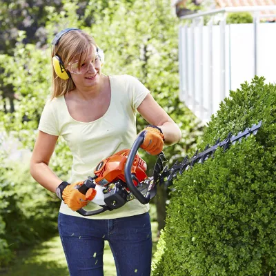 Bild: Heckenschnitt und Bestandsschutz nach § 39 BNatSchG: Was ist verboten was ist erlaubt?