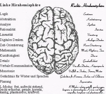 Bild: Optimierung des menschlichen Gehirns am 06.11.2008 ab 10:30Uhr live auf zaplive.tv