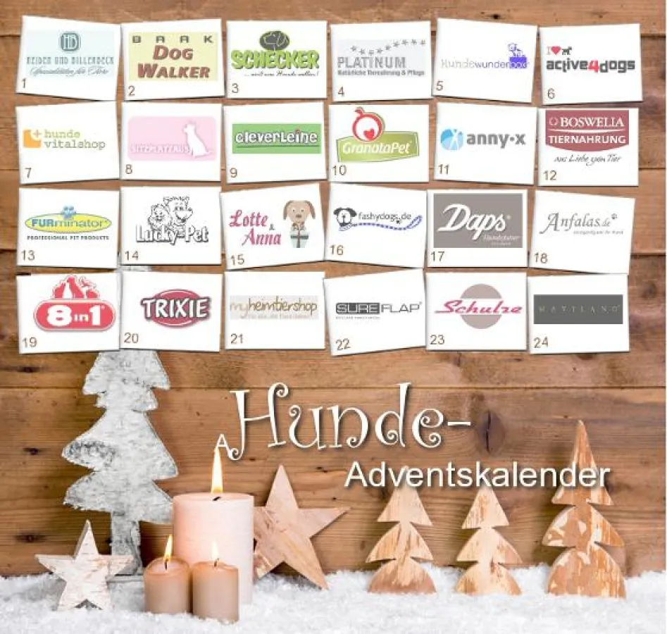 Der große Hunde-Adventskalender auf Stadthunde.com mit vielen attraktiven Preisen