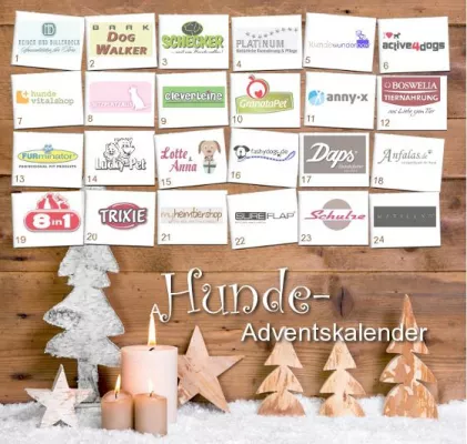 Bild: Stadthunde.com: Großer Hunde-Adventskalender mit hochwertigen Preisen