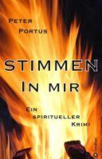 Stimmen in mir - ein spiritueller Krimi entführt zu allerlei Katastrophen Bild: Stimmen in mir - ein spiritueller Krimi entführt zu allerlei Katastrophen