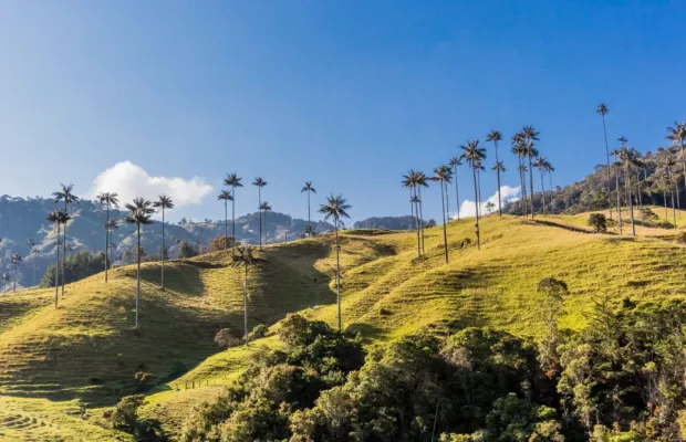 Max Resource vergleicht Kupfer in Kolumbien mit Sediment-Lagerstätten im Kongo Bild: Max Resource vergleicht Kupfer in Kolumbien mit Sediment-Lagerstätten im Kongo