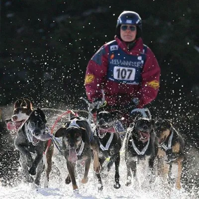 Bild: Internationale Kufenstars, kids on snow und Schneeball-Schlacht WM