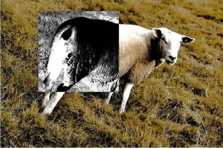 Bild: Kunst und Kommerz