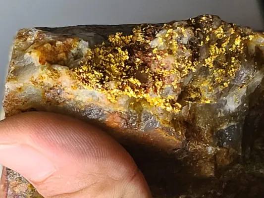 Sranan Gold: Beginn der ersten Goldbohrungen steht kurz bevor! Bild: Sranan Gold: Beginn der ersten Goldbohrungen steht kurz bevor!