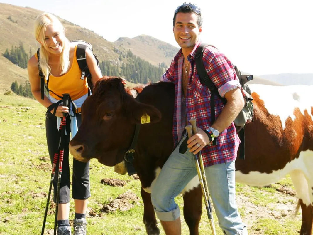 Sommeridylle: Wandern in Zell am See und Kaprun