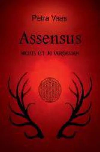Assensus - ein Mystery-Abenteuer über eine junge Heldin auf der Flucht vor Alpträumen und realen Verfolgern Bild: Assensus - ein Mystery-Abenteuer über eine junge Heldin auf der Flucht vor Alpträumen und realen Verfolgern