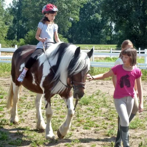 Bild: Ferien zwischen Heu und Stroh: Beliebte Ferienkurse für Kinder finden wieder statt