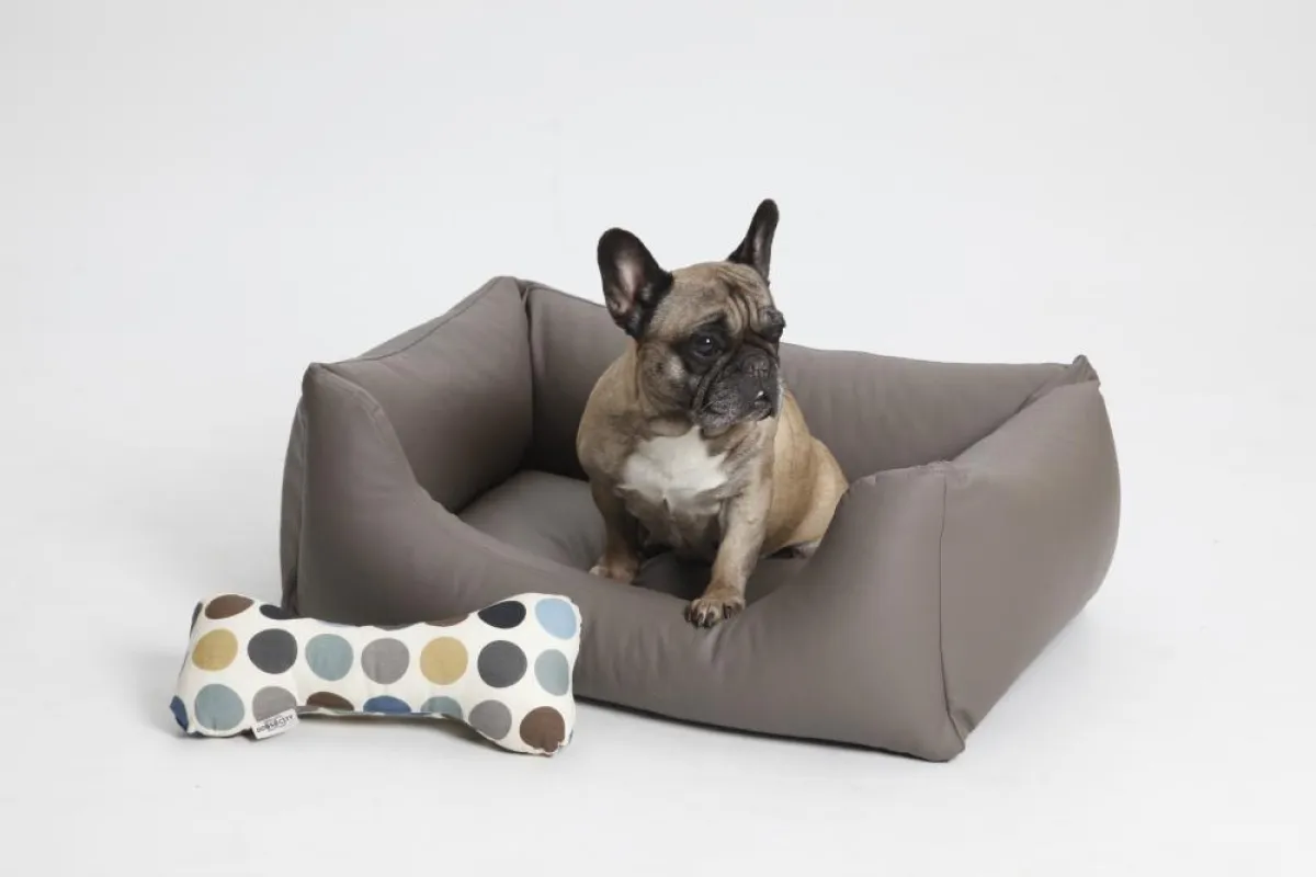 Box Bed Saddle in taupe
