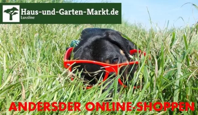 Bild: 24h-Lieferservice (DE/Mo-Fr) für Bestandware bei hausUNDgartenMarkt.de - Firma Luxsline