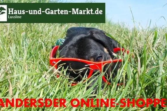 24h-Lieferservice (DE/Mo-Fr) für Bestandware bei hausUNDgartenMarkt.de - Firma Luxsline Bild: 24h-Lieferservice (DE/Mo-Fr) für Bestandware bei hausUNDgartenMarkt.de - Firma Luxsline
