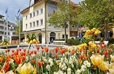 Bild: Das Kneipp-Original im Allgäu blüht auf: Tulpentaufe in Bad Wörishofen