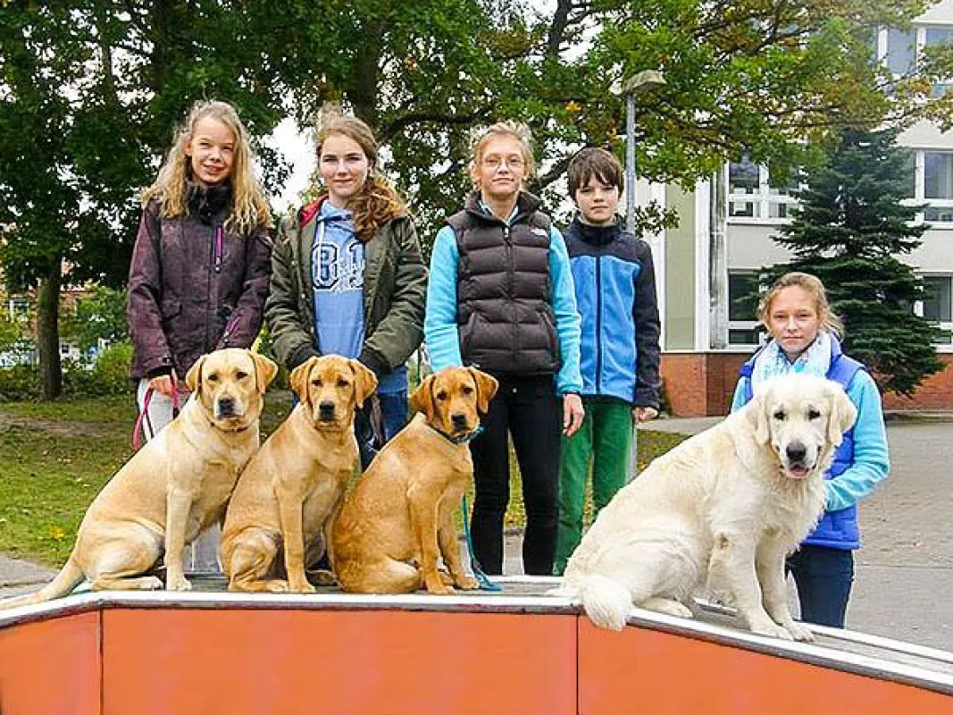 An der Greenhouse School sind bis zu vier Schulhunde gleichzeitig im Einsatz