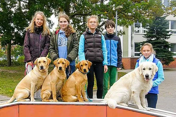 Bild: Gesamtschule in Graal-Müritz startet Schulhunde-Ausbildung