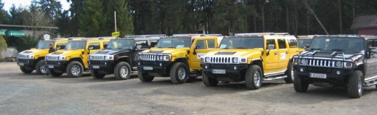 Die Hummer sind bereit...