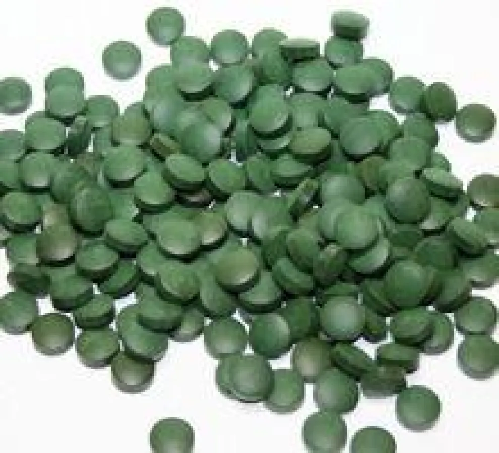 Spirulina pacifica Hawaii