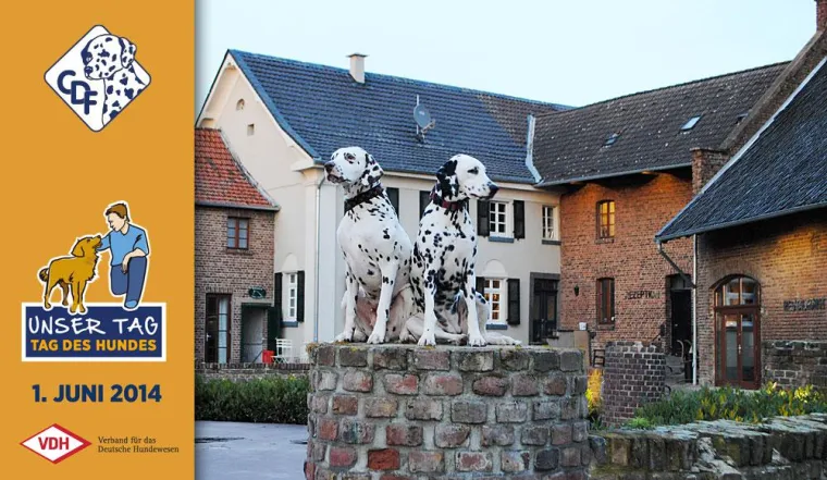 Bild: Der Tag des Hundes in Bedburg: EINE PUNKTLANDUNG