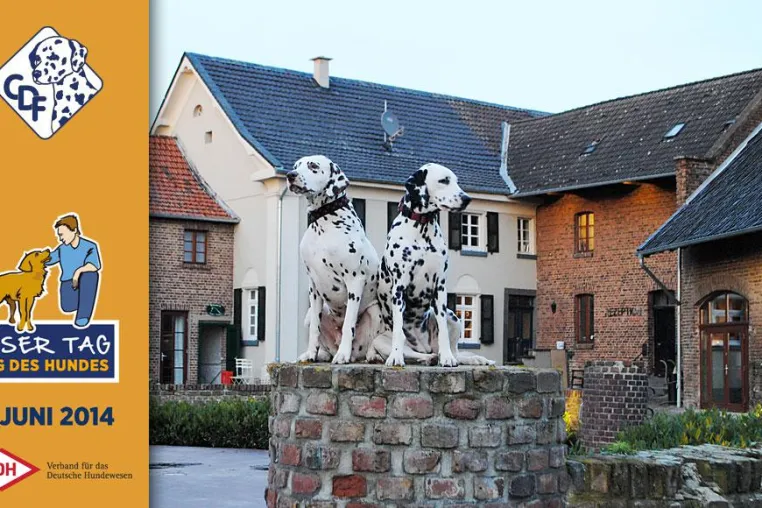 Bild: Der Tag des Hundes in Bedburg: EINE PUNKTLANDUNG
