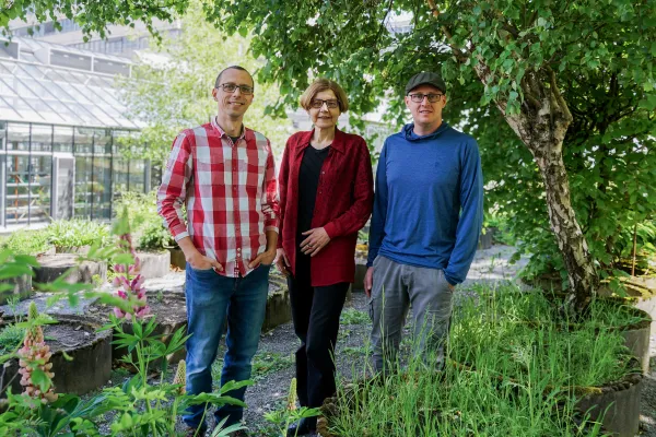 Wie Pflanzen gezielt ihr Wachstum steuern Bild: Wie Pflanzen gezielt ihr Wachstum steuern