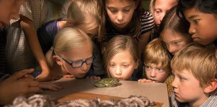 Bild: "Hilfe, unser Lehrer ist ein Frosch!" ist Kinderfilm des Monats im Juli 2017