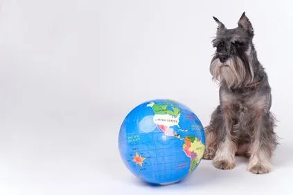 Gemeinsam mit dem Hund in den Urlaub - Tierfreundliche Hotels, Hütten und Ferienwohnungen Bild: Gemeinsam mit dem Hund in den Urlaub - Tierfreundliche Hotels, Hütten und Ferienwohnungen