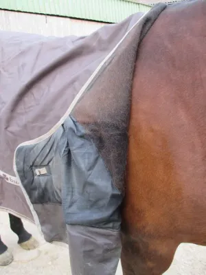 Wessel-Werk Tierhaarentferner erleichtert Pferdefreunden die Reinigung von Stalldecken und Sattelunterlagen Bild: Wessel-Werk Tierhaarentferner erleichtert Pferdefreunden die Reinigung von Stalldecken und Sattelunterlagen