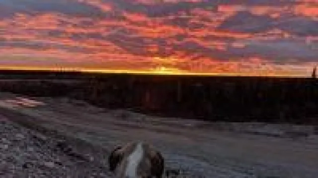 Bild: Zink - vielleicht bald ein Batterierohstoff