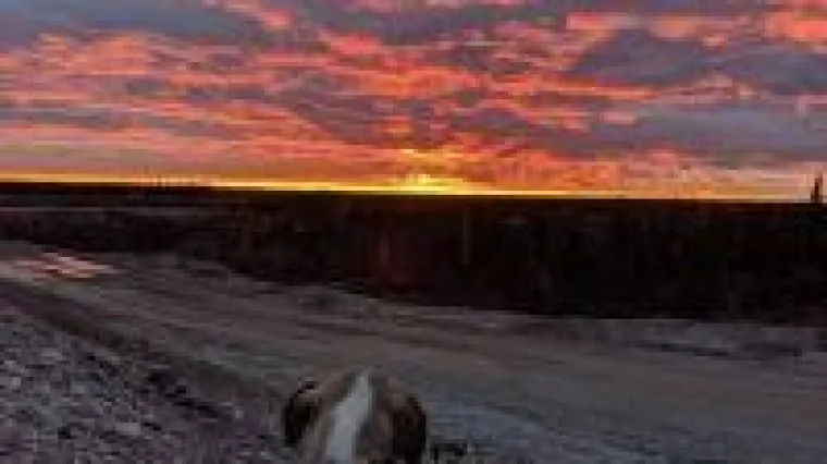 Bild: Zink - vielleicht bald ein Batterierohstoff