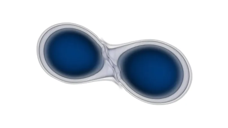 Bild: Die Verschmelzung von Neutronensternen besser verstehen