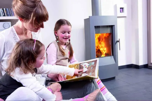 Bild: HKI: Trendwende vollzogen - Zahl der verkauften Feuerstätten ist 2009 um 8,7 Prozent gestiegen