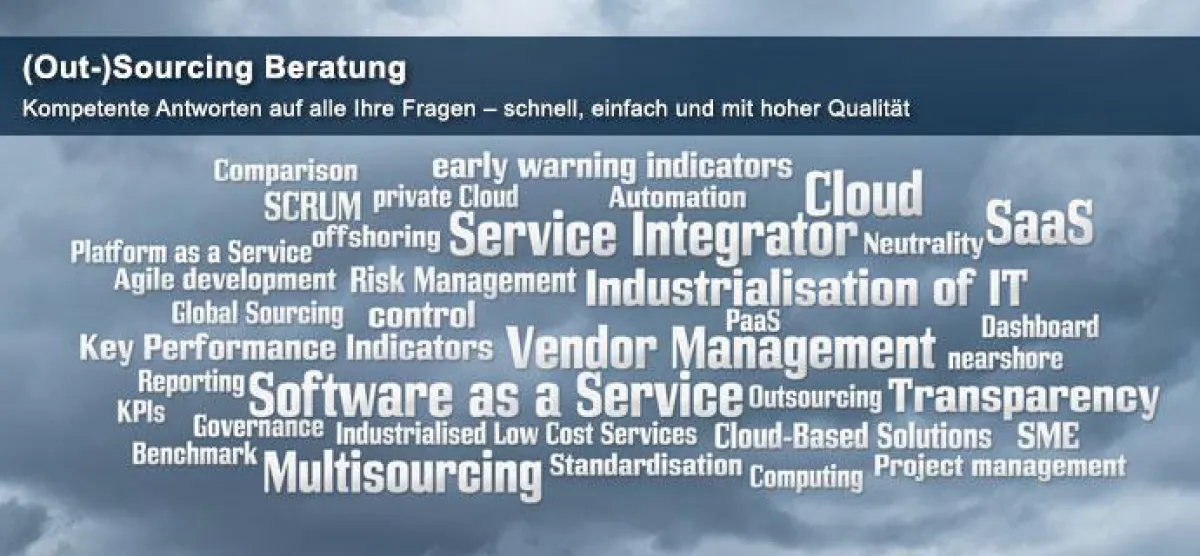 Themen der pliXos Sourcing Advisory