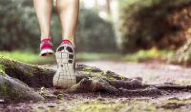 Bild: Neues Testportal für Laufbegeisterte