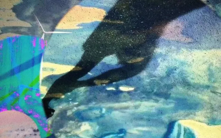 Bild: VideoArt auf Windkurs: » DrehMomente « Installation von Merit Fakler in Berlin