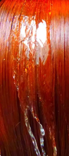 „Shampookunst“ – Künstler Christophe Didillon fertigt abstrakte Bilder von Mähnen prominenter Persönlichkeiten Bild: „Shampookunst“ – Künstler Christophe Didillon fertigt abstrakte Bilder von Mähnen prominenter Persönlichkeiten