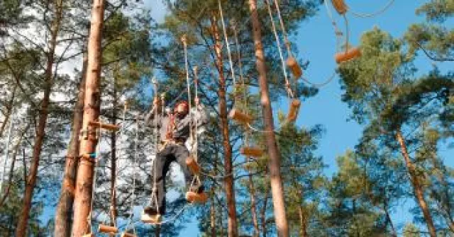 Bild: 1. Müritz-Nationalpark-Partner Tag im Waldseilgarten Havelberge