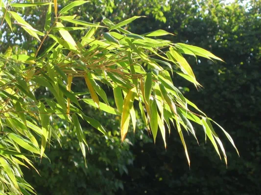 Bild: Zen-Meditation für Ärzte: Spezialseminar zum Thema Stress und Burnout