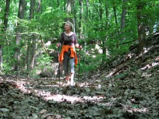 Durchs Herz der Hohen Mark Bild: Durchs Herz der Hohen Mark