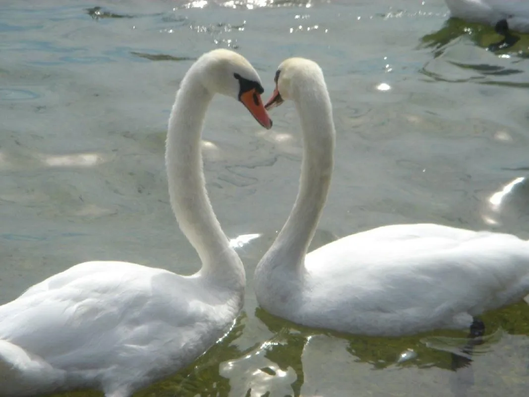 Nur die Liebe zählt!