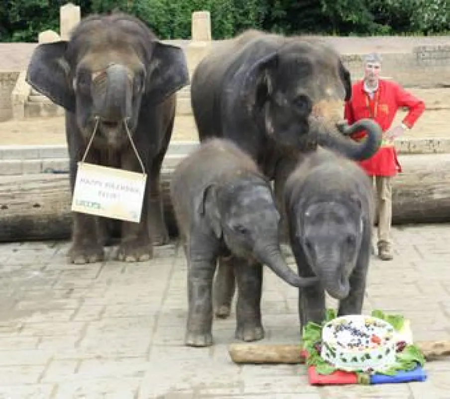 Felix und Dinkar naschen an der Torte