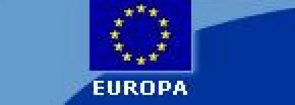 Europa braucht Visionäre:  mittelständische Unternehmer