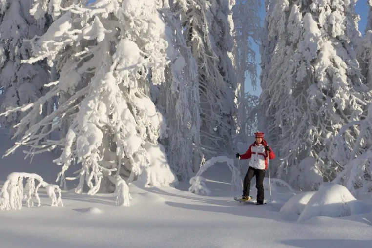 Bild: Winter-Wunderland und Wild Taiga – die letzte Wildnis Europas mit Suomi Travel