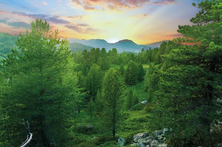 Bild: Nachhaltigkeit im Schlafzimmer