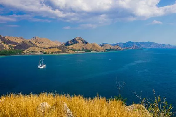 Bild: Komodo-Kreuzfahrten mit den Segelschiffen von SeaTrek Sailing Adventures im Sommer 2018 zum Sonderpreis