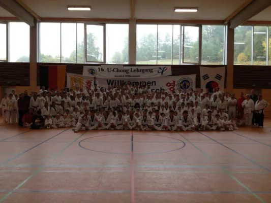 Bild: Taekwondo auf höchstem Level