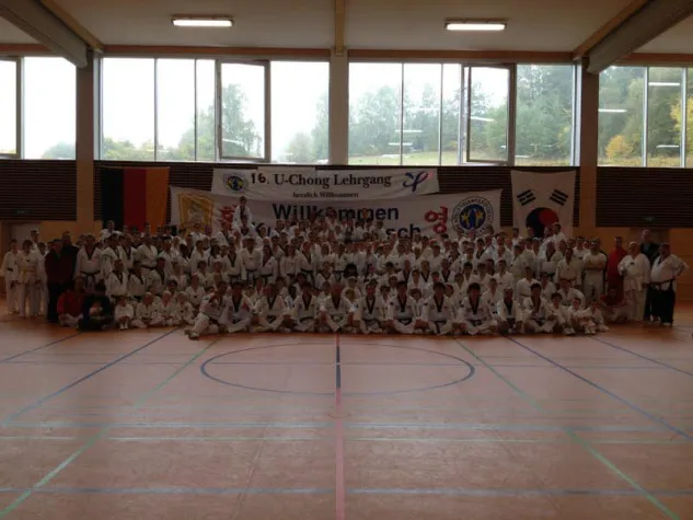 Bild: Taekwondo auf höchstem Level