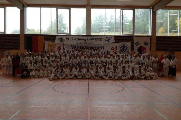 Taekwondo auf höchstem Level Bild: Taekwondo auf höchstem Level