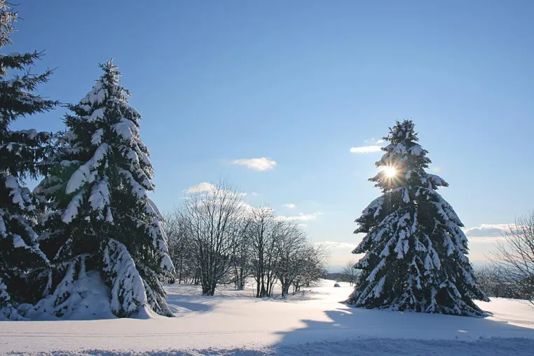 Bild: Der Winter beginnt - Loipen im Vogelsberg gespurt