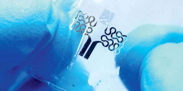 Bild: Der Bio-Mikrosensor für Apfel und Fisch