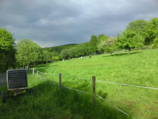 Bild: Weilrod - natürlich schön - Urlaub im lieblichen Weiltal im Taunus