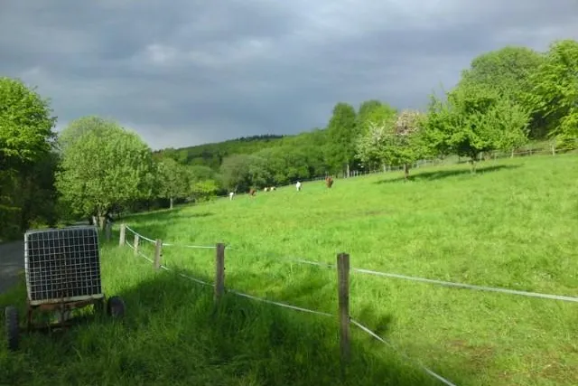 Bild: Weilrod - natürlich schön - Urlaub im lieblichen Weiltal im Taunus